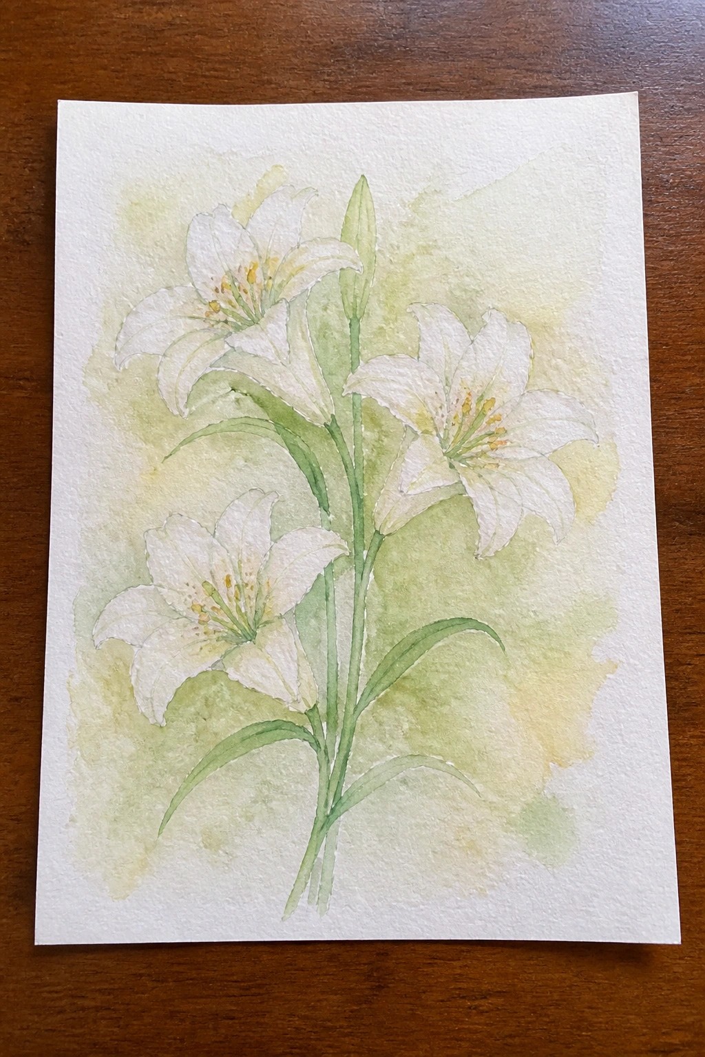Watercolor of three white lilies with green stems and yellow centers on paper
