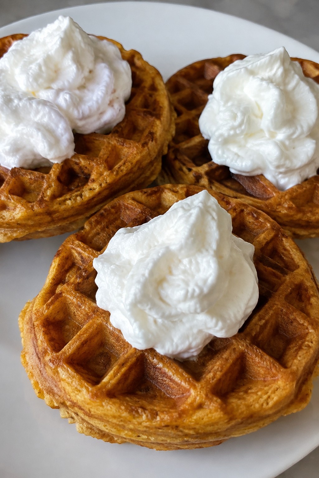 Pumpkin Spice Waffles with Whipped Cream Hats