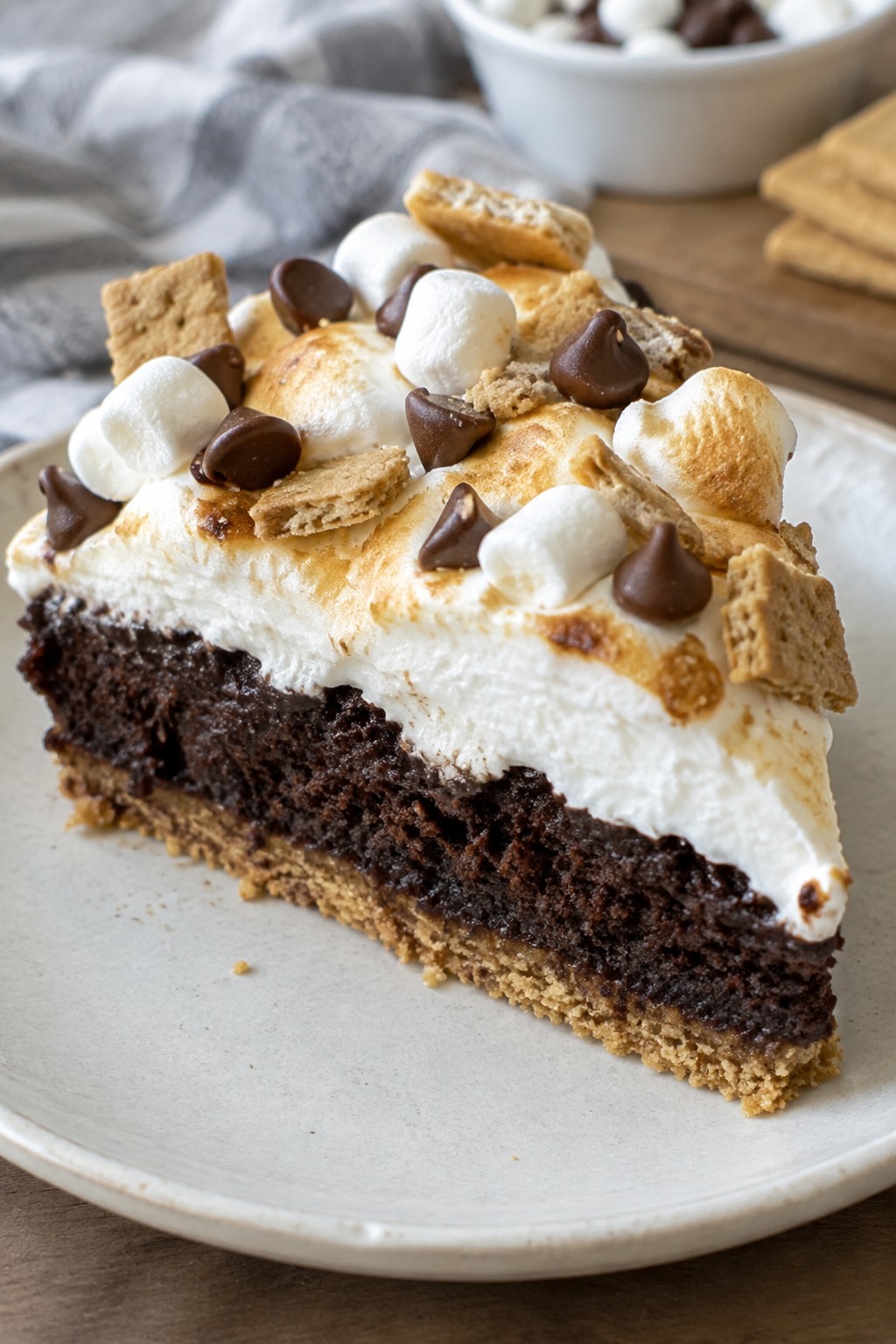 S'mores Campfire Cake with Toasted Marshmallow Frosting and Graham Cracker Crust