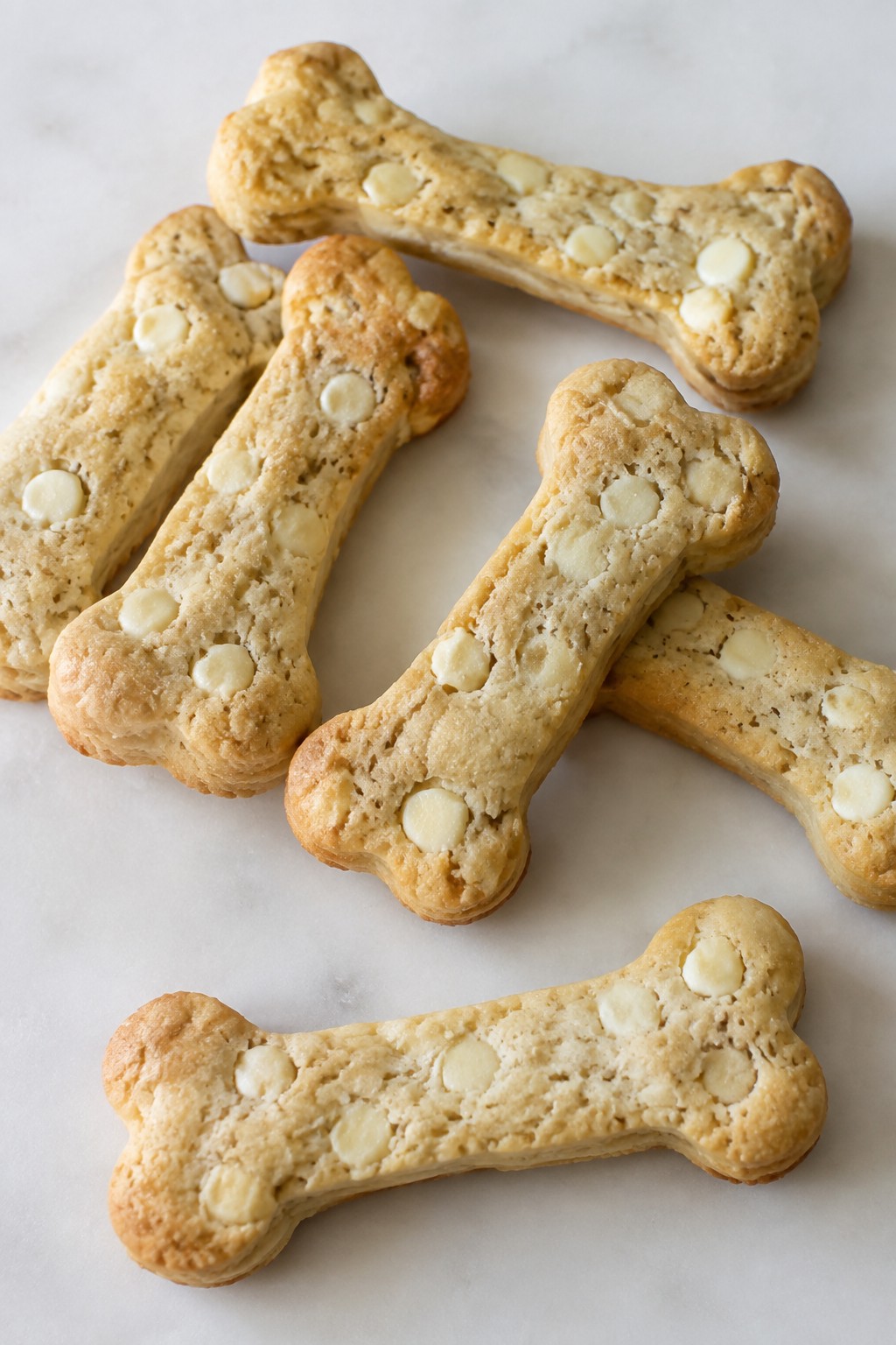 Skeleton Bone Vanilla Biscotti