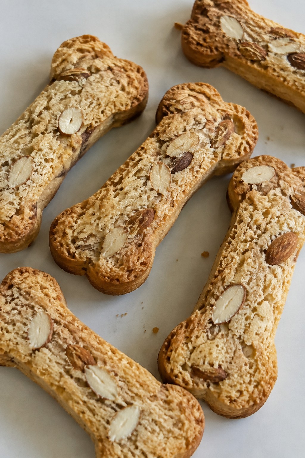 Skeleton Bone Almond Biscotti