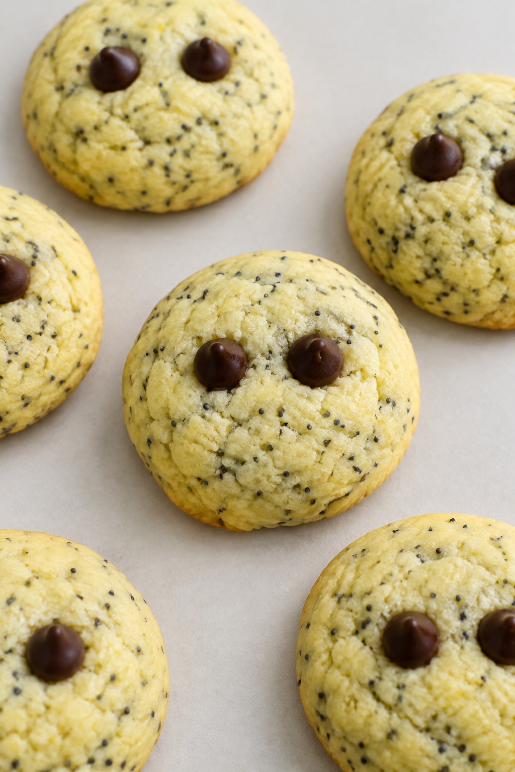 Lemon Poppy Seed Owl Eye Cookies